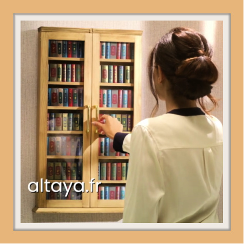Bibliothèque offerte avec l'offre premium mini livres Altaya