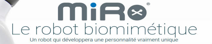 www.robot-miro.fr 